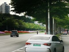 -深圳国际园林花卉博览园