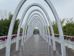 -大兴滨河森林公园