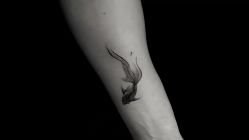 -长沙纹身·龙堂刺青·三土师傅的店