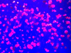 -波塞冬旅游度假区