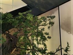 -绿茶餐厅(成都太古里店)