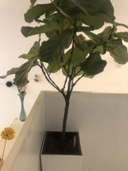 -I+造型烫发染发