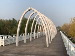 -大兴滨河森林公园