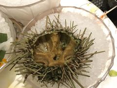 -雍和会海鲜姿造自助(湖东路店)