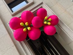 -HUATA 'Holiday Plan 花榻