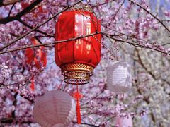 -三里河公园