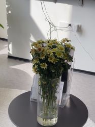 -JNK皮肤管理中心