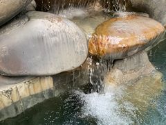 -青城道汤池