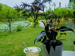 -上海交通大学(闵行校区)