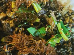 -海韵人家.海景花园经典云南菜(双廊店)
