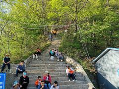 -王顺山国家森林公园