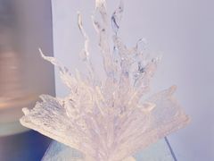 -九献创意菜·牛排馆(亮马河花园店)