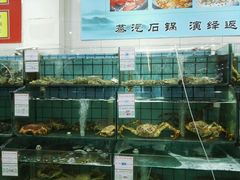 水产区-海岛渔村大酒店(云霄路店)