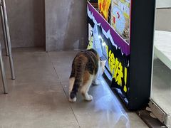 -徐妹串串香(春熙路店)