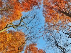 -山王坪喀斯特国家生态公园