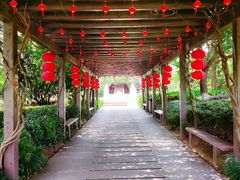 -白马涧龙池景区