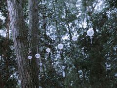 -保利石象湖景区