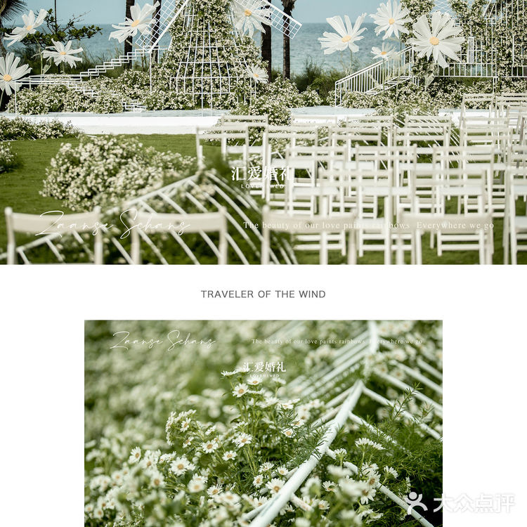 三亚婚礼｜艾迪逊婚礼｜小雏菊花海🌼🌼