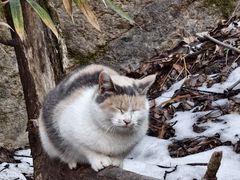 -终南山南五台景区