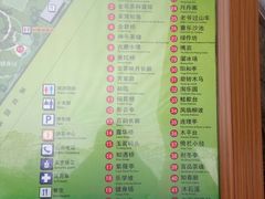 -金花茶公园