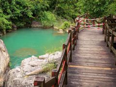 -广州白江湖森林公园