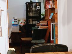 -No Cat 手碟