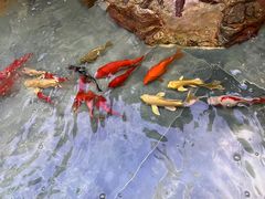 -57度湘(王府井10F店)