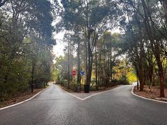-青龙山国家森林公园