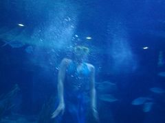 -水上乐园·欢乐世界