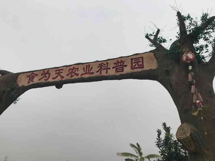 食为天农业科普园-"这里是花的海洋,这里是花的季节,在这里,.
