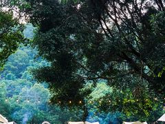 -清泉湾生态旅游度假区