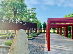 -春花秋色城市公园