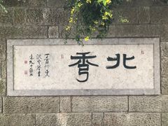 -杭州半山国家森林公园
