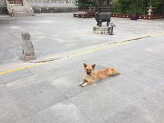 -法门文化景区