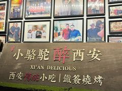 -福苗小骆驼烧烤(莲湖路店)