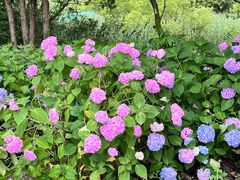 -西湖风景区-江洋畈生态公园