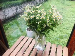 -JC·YOGA静禅瑜伽普拉提