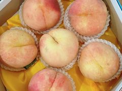 -南汇水蜜桃采摘(大团店)