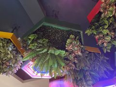 -季季红火锅(文化大厦店)