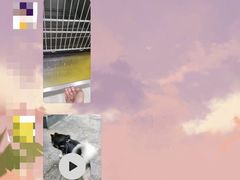 -佳雯宠物医院(金华南路分院)