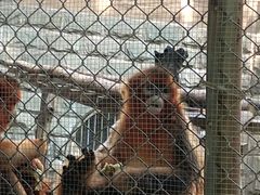 -北京野生动物园