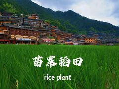 -胖妈酸汤鱼(总店)