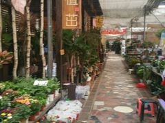 -秦美花卉(天朗·莱茵小城2期店)