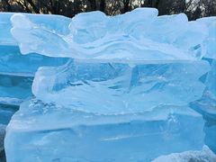 -长春市南湖公园