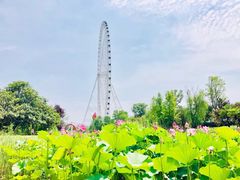 -祥源·阜阳生态乐园