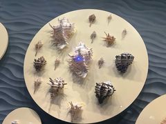 -中国（海南）南海博物馆