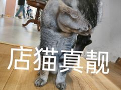 -素色摄影-素色照相馆(明故宫后宰门店)