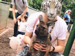 -费瑟代尔野生动物园