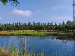 -上海长兴岛郊野公园