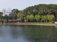 -新江湾城公园